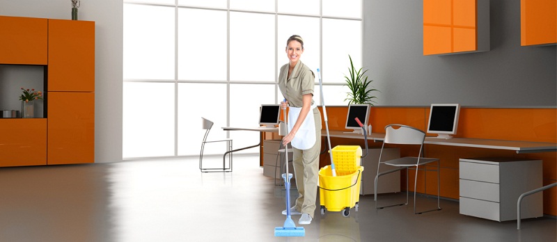 servicii curatenie timisoara